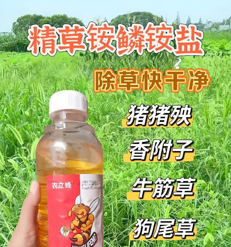 超越极限的力量（6870极限版显卡的性能突破与性创新）