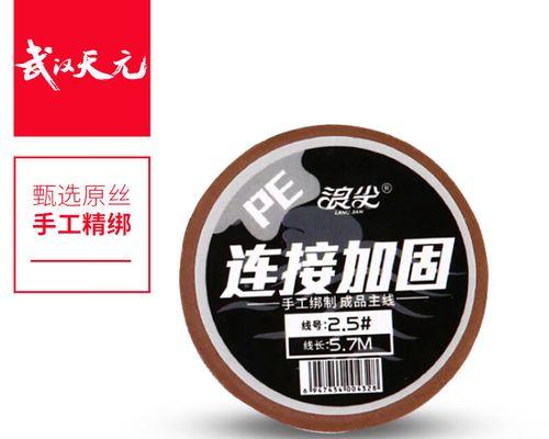 Win8.1PE分区教程（使用Win8.1PE工具，快速分区管理的关键）