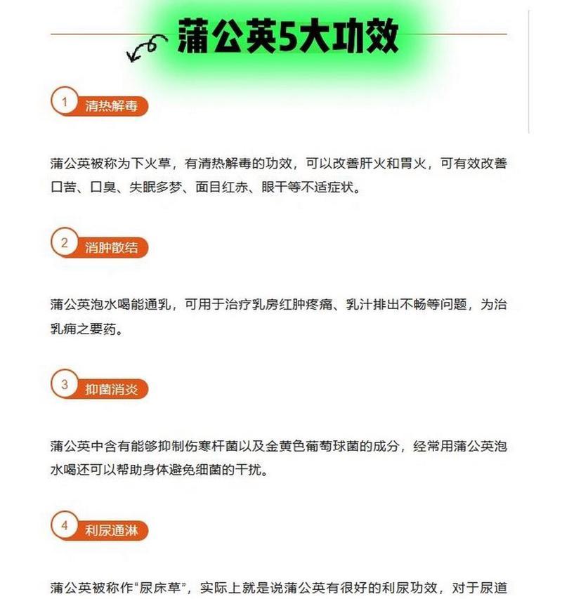 蒲公英的用途和作用（探索蒲公英的美妙奇幻世界）
