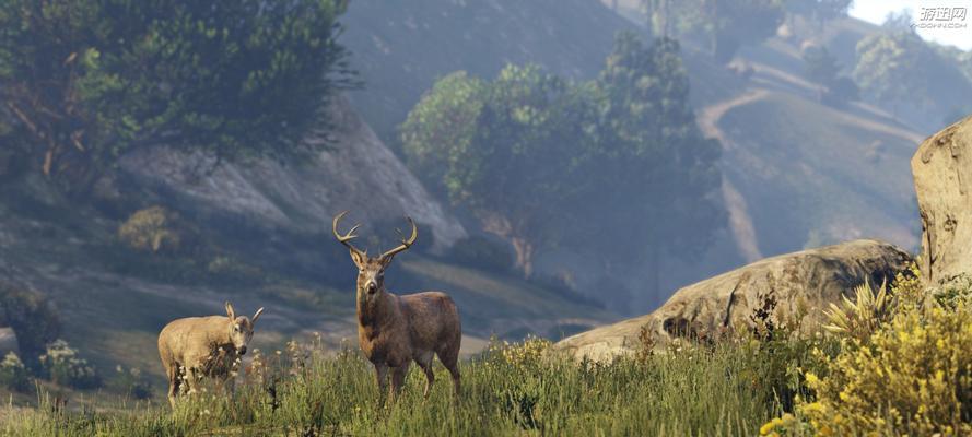 《PS4上玩GTA5的畅快体验》（以游戏机为平台，尽情畅玩这款经典游戏！）