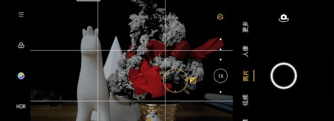 用Pro2拍摄，细腻无忧（探秘Pro2摄影技巧，带你拍出精彩照片）