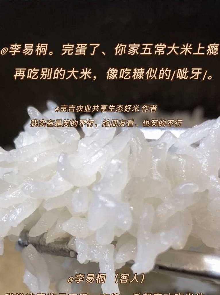 新米与陈米，谁更香甜可口？（探讨新旧米的口感区别，你知道吗？）
