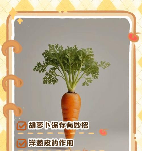 白萝卜的家用保存方法（科学储存，保鲜更久）